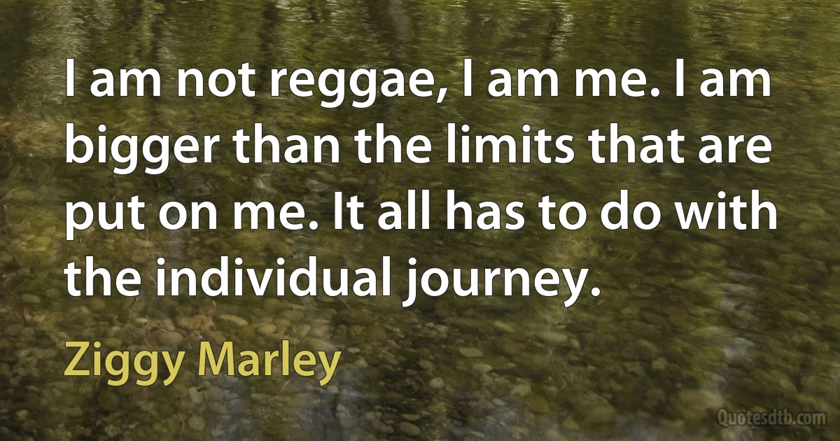 I am not reggae, I am me. I am bigger than the limits that are put on me. It all has to do with the individual journey. (Ziggy Marley)