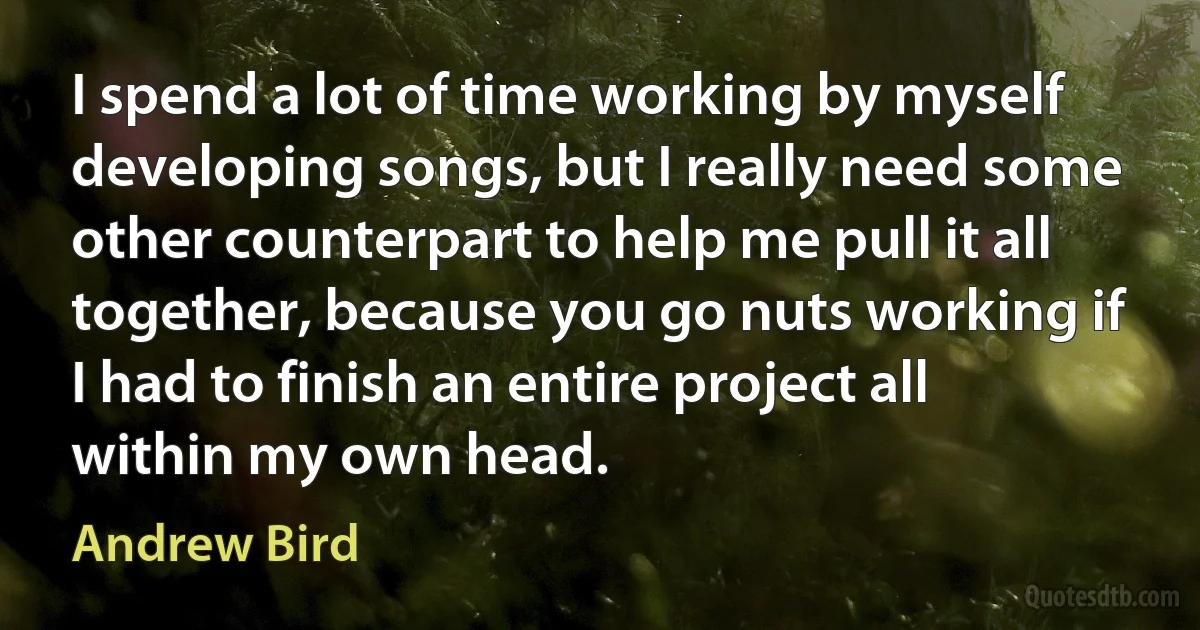 I spend a lot of time working by myself developing songs, but I really need some other counterpart to help me pull it all together, because you go nuts working if I had to finish an entire project all within my own head. (Andrew Bird)