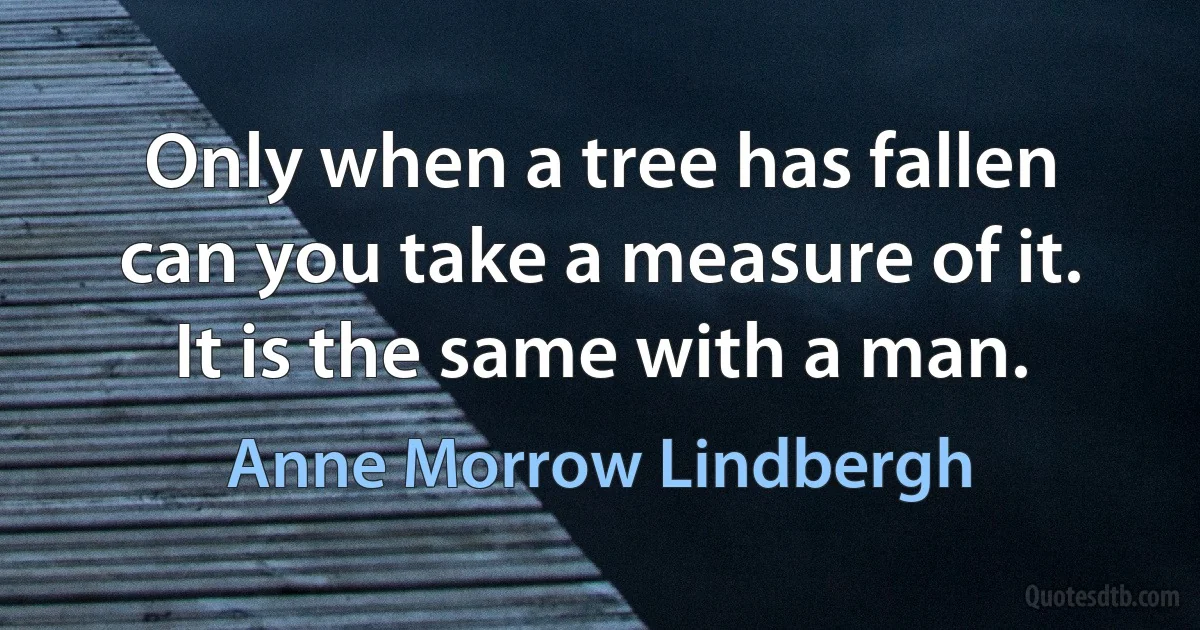 Only when a tree has fallen can you take a measure of it. It is the same with a man. (Anne Morrow Lindbergh)