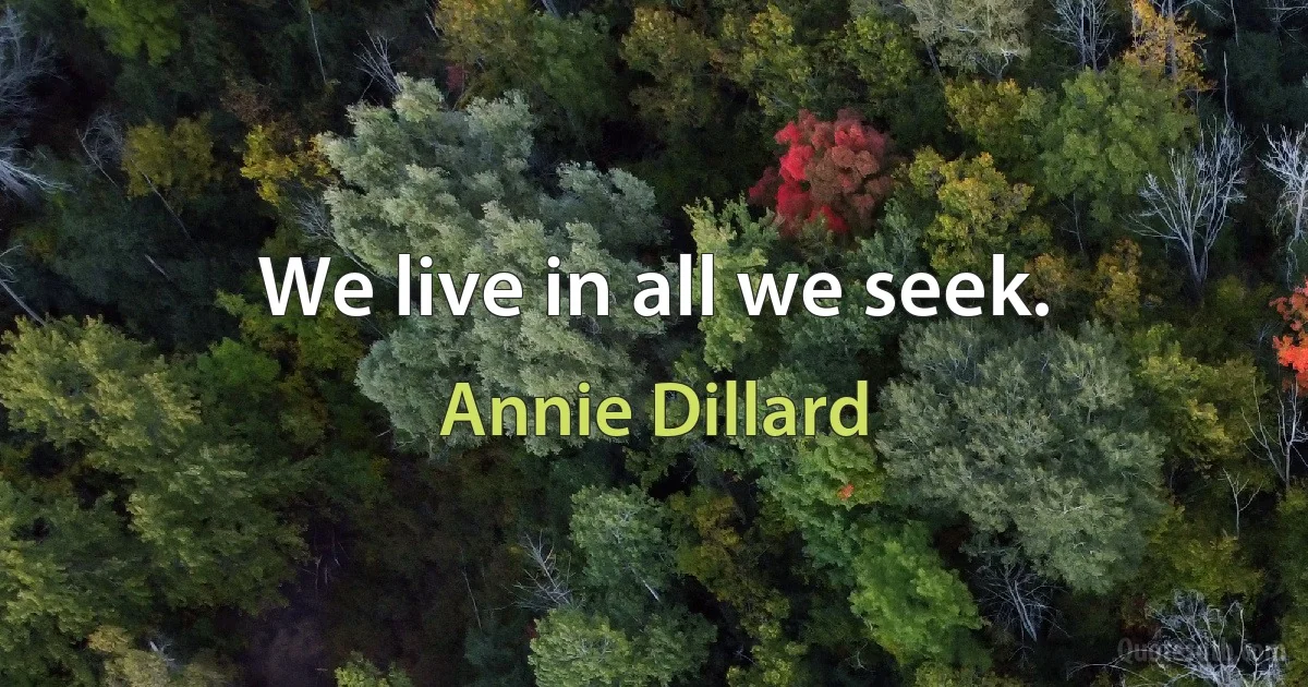 We live in all we seek. (Annie Dillard)