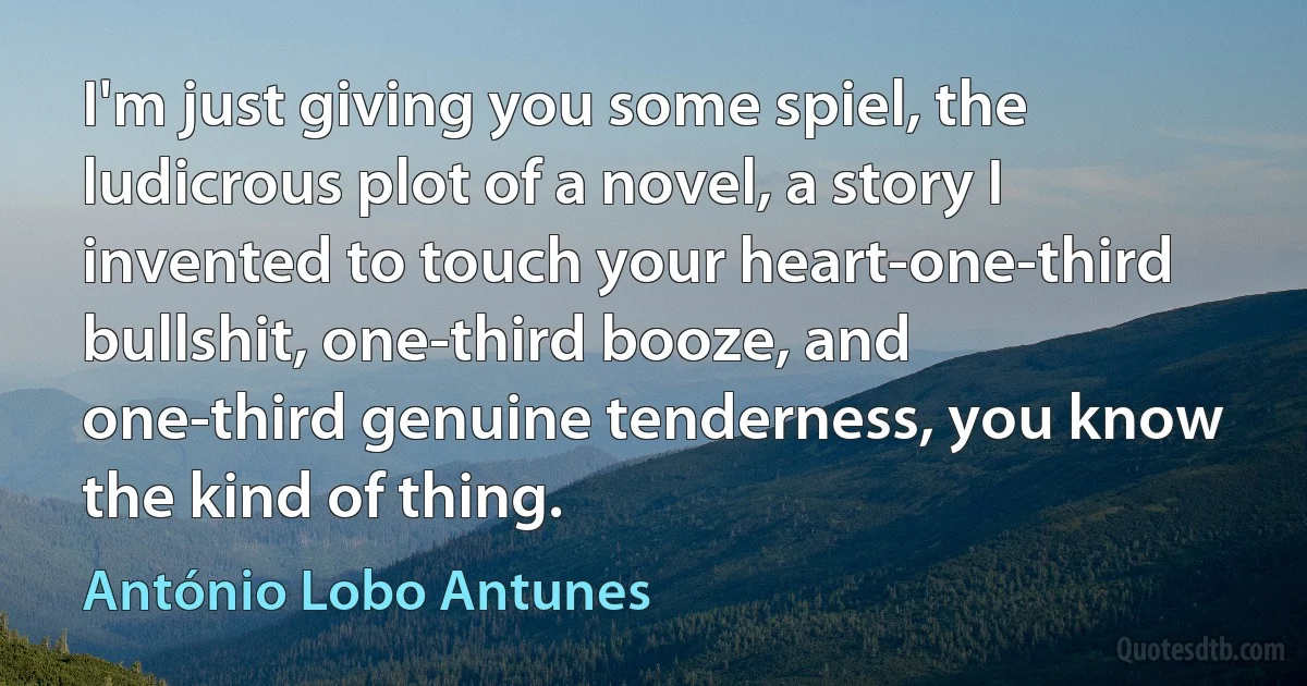 I'm just giving you some spiel, the ludicrous plot of a novel, a story I invented to touch your heart-one-third bullshit, one-third booze, and one-third genuine tenderness, you know the kind of thing. (António Lobo Antunes)