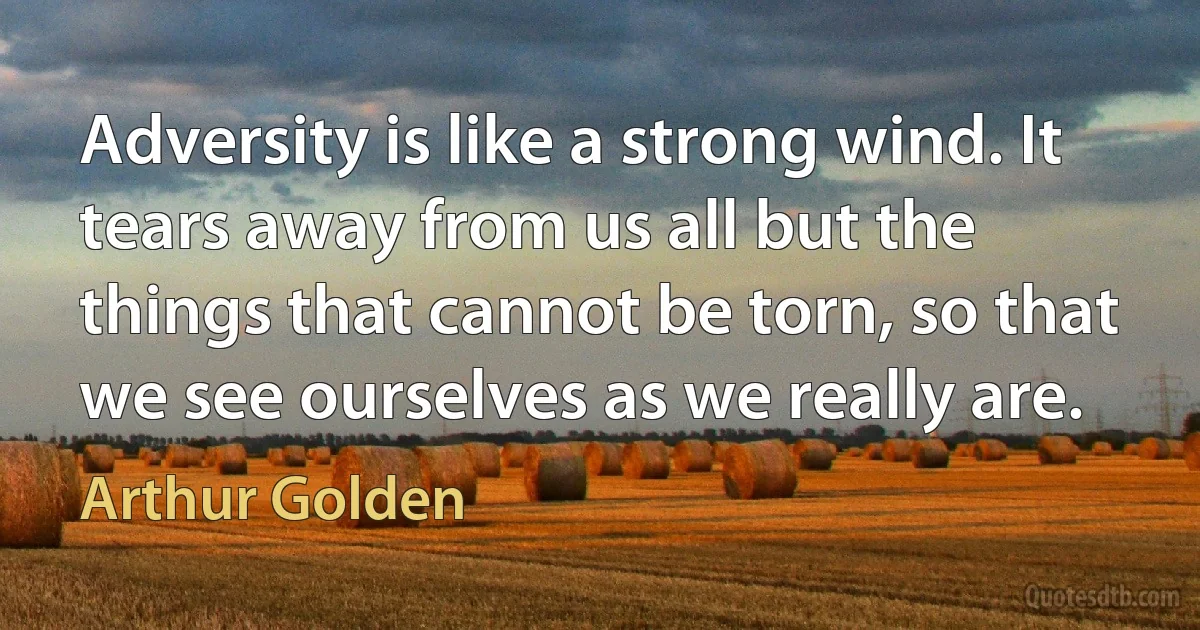 Adversity is like a strong wind. It tears away from us all but the things that cannot be torn, so that we see ourselves as we really are. (Arthur Golden)