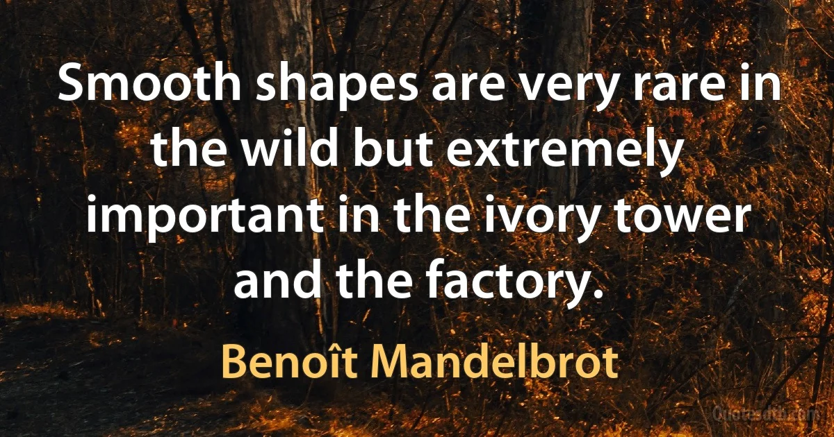 Smooth shapes are very rare in the wild but extremely important in the ivory tower and the factory. (Benoît Mandelbrot)