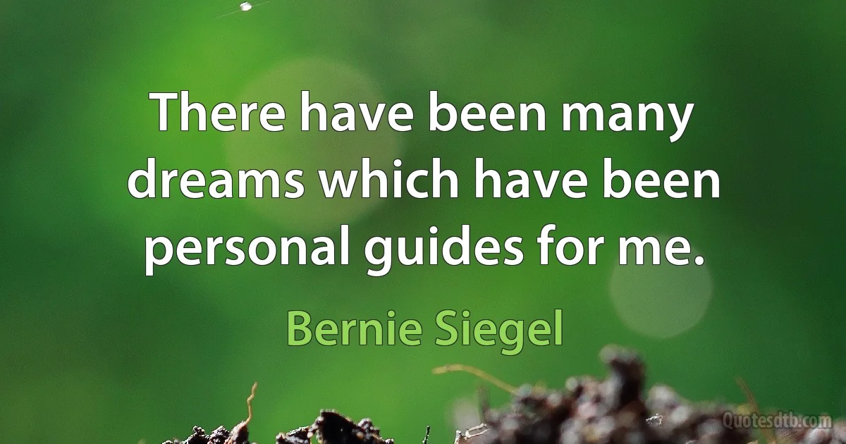 There have been many dreams which have been personal guides for me. (Bernie Siegel)