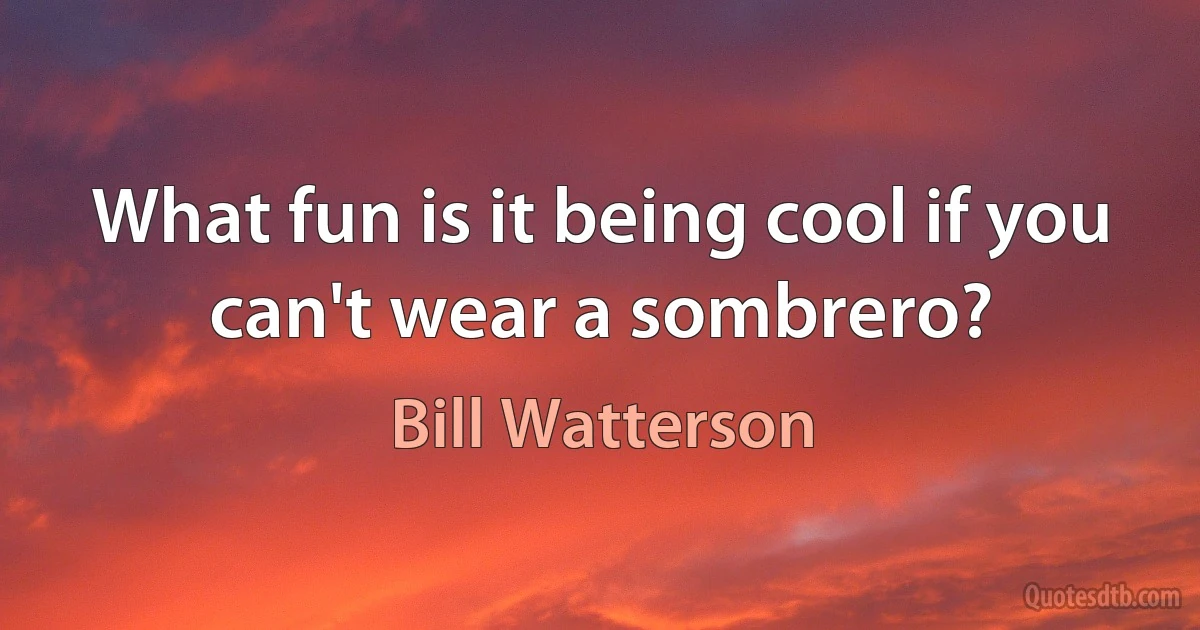 What fun is it being cool if you can't wear a sombrero? (Bill Watterson)