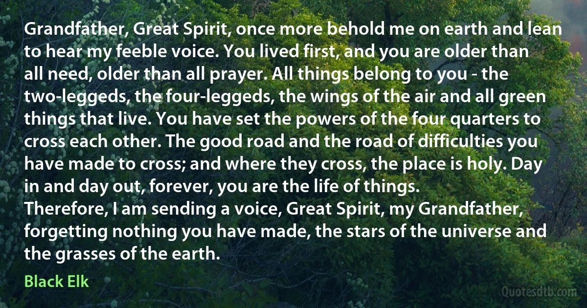 Grandfather, Great Spirit, once more behold me on earth and lean to hear my feeble voice. You lived first, and you are older than all need, older than all prayer. All things belong to you - the two-leggeds, the four-leggeds, the wings of the air and all green things that live. You have set the powers of the four quarters to cross each other. The good road and the road of difficulties you have made to cross; and where they cross, the place is holy. Day in and day out, forever, you are the life of things.
Therefore, I am sending a voice, Great Spirit, my Grandfather, forgetting nothing you have made, the stars of the universe and the grasses of the earth. (Black Elk)