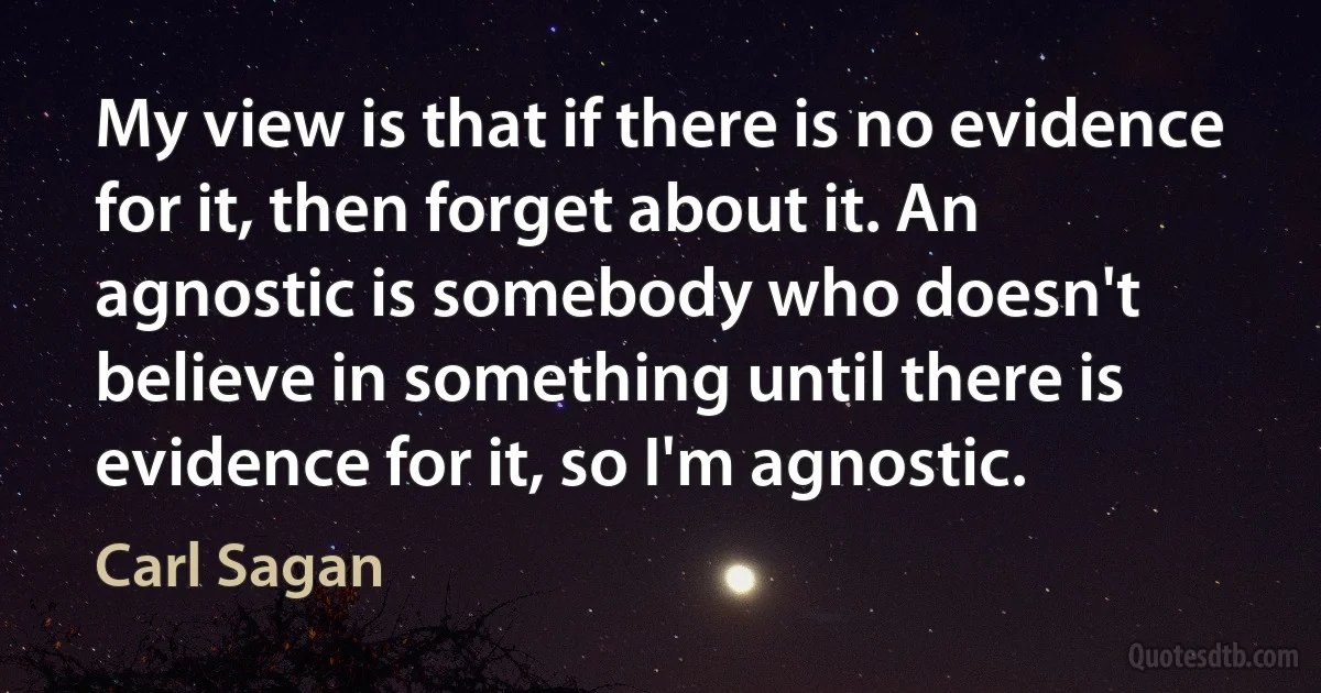 My view is that if there is no evidence for it, then forget about it. An agnostic is somebody who doesn't believe in something until there is evidence for it, so I'm agnostic. (Carl Sagan)