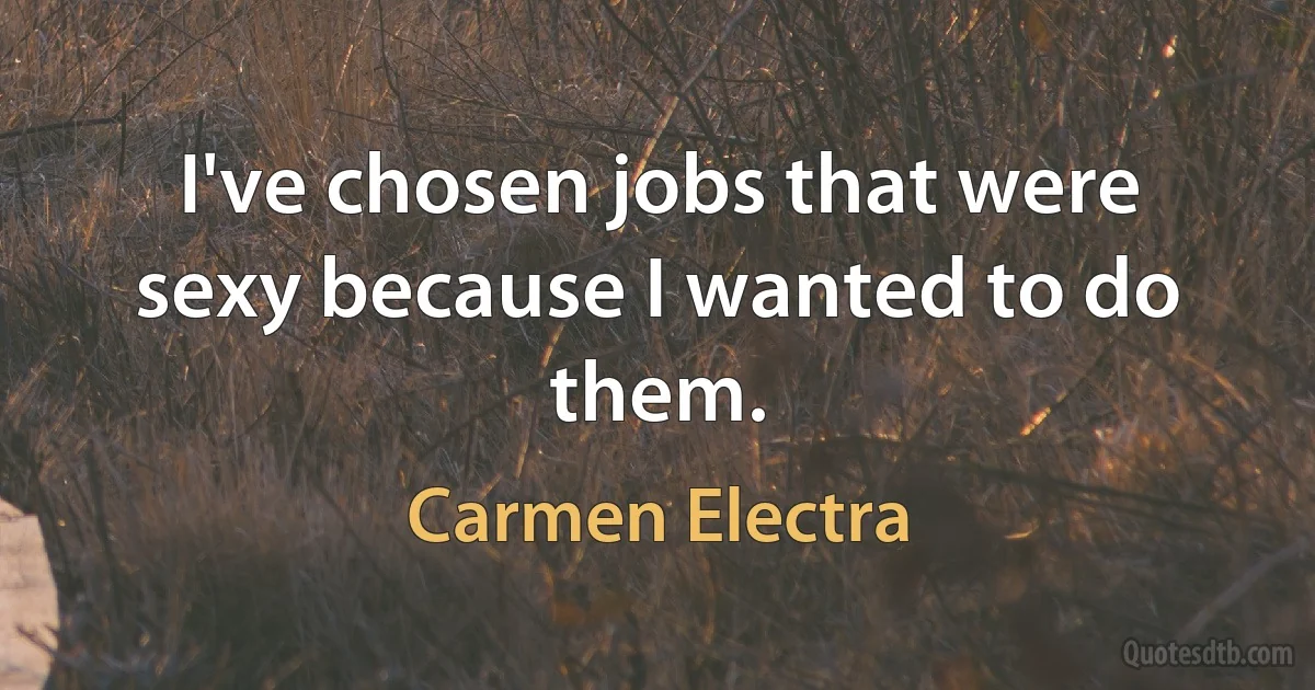 I've chosen jobs that were sexy because I wanted to do them. (Carmen Electra)