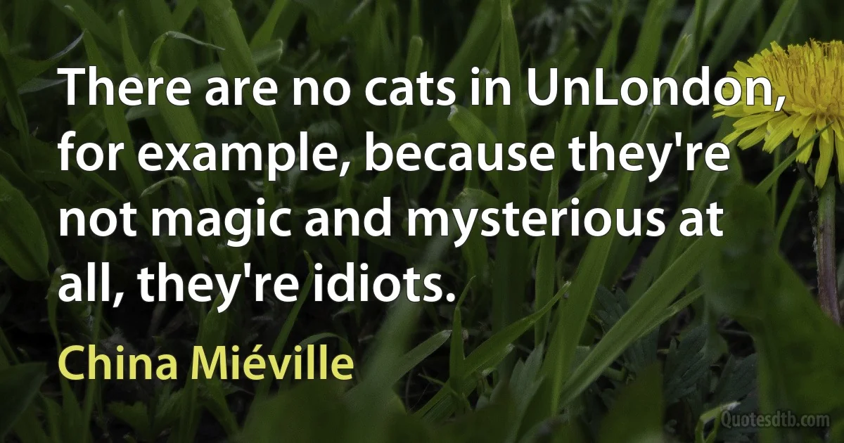 There are no cats in UnLondon, for example, because they're not magic and mysterious at all, they're idiots. (China Miéville)