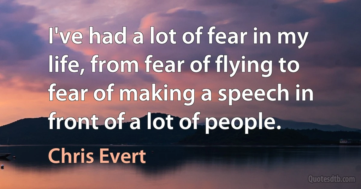 I've had a lot of fear in my life, from fear of flying to fear of making a speech in front of a lot of people. (Chris Evert)