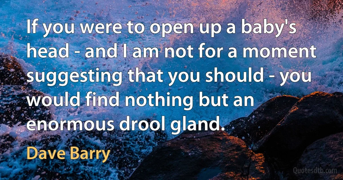 If you were to open up a baby's head - and I am not for a moment suggesting that you should - you would find nothing but an enormous drool gland. (Dave Barry)