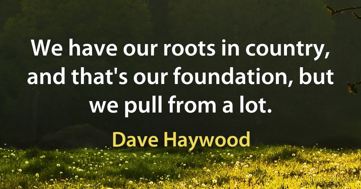 We have our roots in country, and that's our foundation, but we pull from a lot. (Dave Haywood)