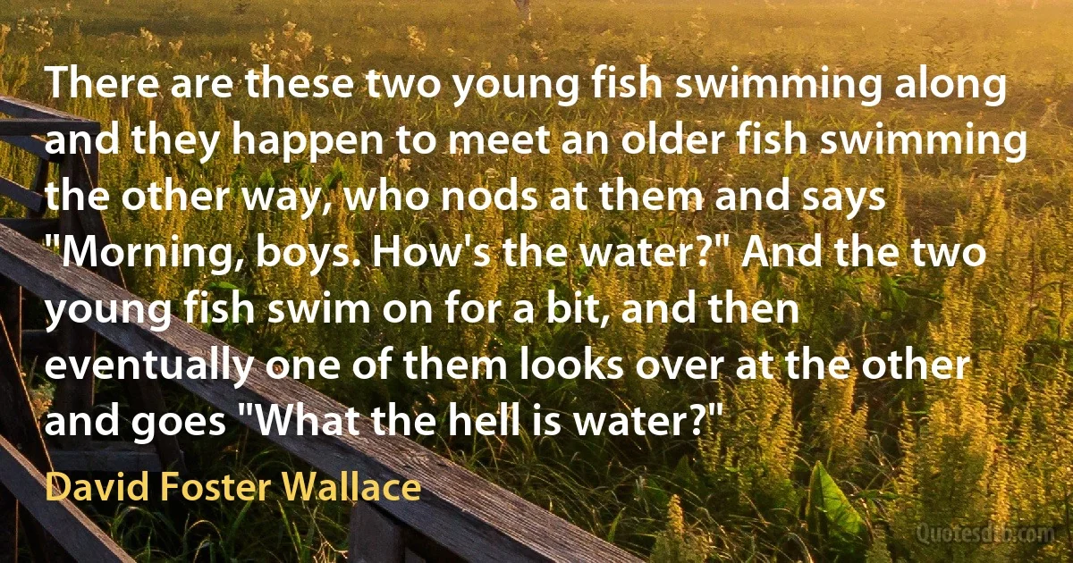 There are these two young fish swimming along and they happen to meet an older fish swimming the other way, who nods at them and says "Morning, boys. How's the water?" And the two young fish swim on for a bit, and then eventually one of them looks over at the other and goes "What the hell is water?" (David Foster Wallace)