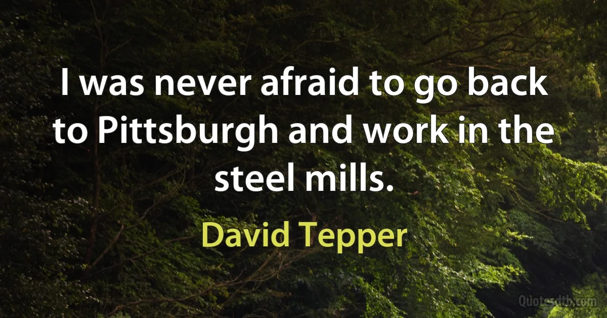 I was never afraid to go back to Pittsburgh and work in the steel mills. (David Tepper)