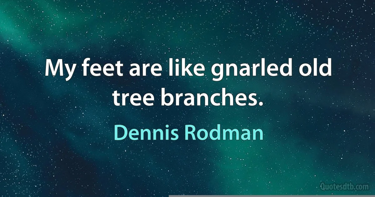 My feet are like gnarled old tree branches. (Dennis Rodman)