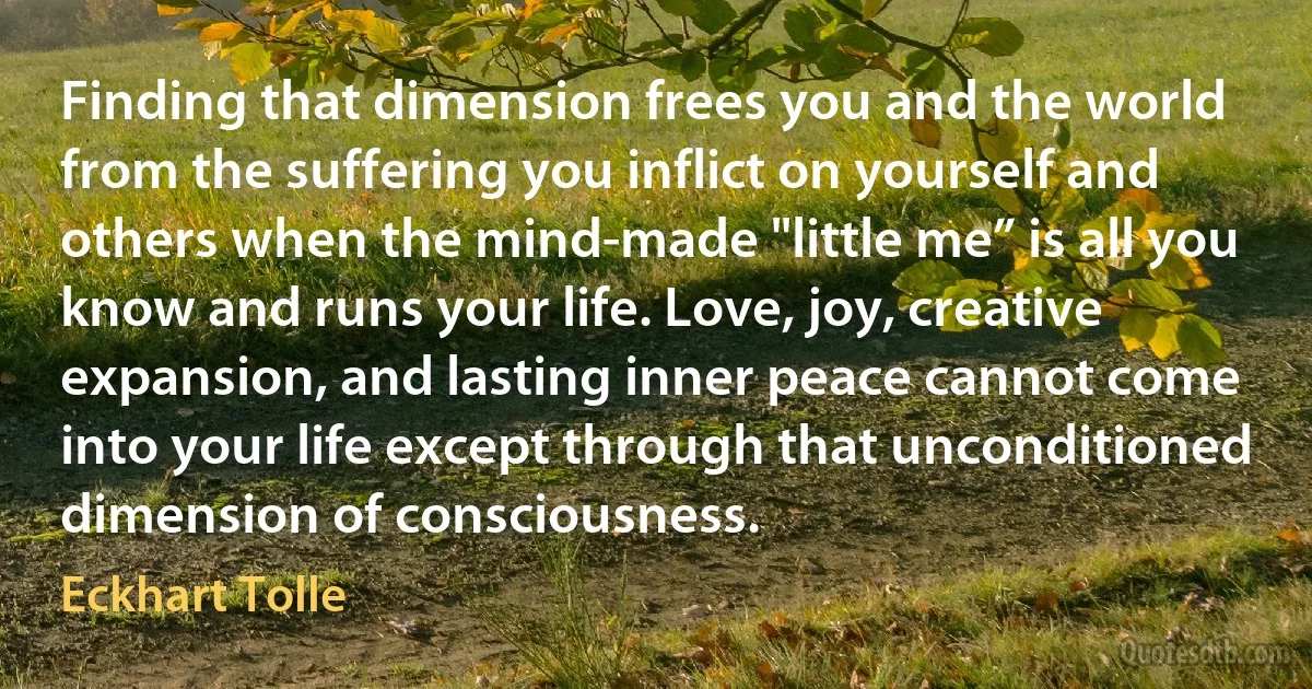 Finding that dimension frees you and the world from the suffering you inflict on yourself and others when the mind-made "little me” is all you know and runs your life. Love, joy, creative expansion, and lasting inner peace cannot come into your life except through that unconditioned dimension of consciousness. (Eckhart Tolle)