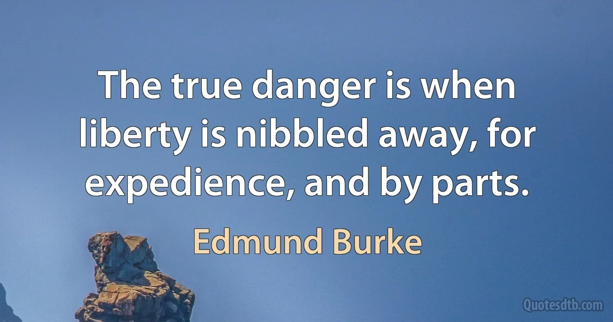 The true danger is when liberty is nibbled away, for expedience, and by parts. (Edmund Burke)