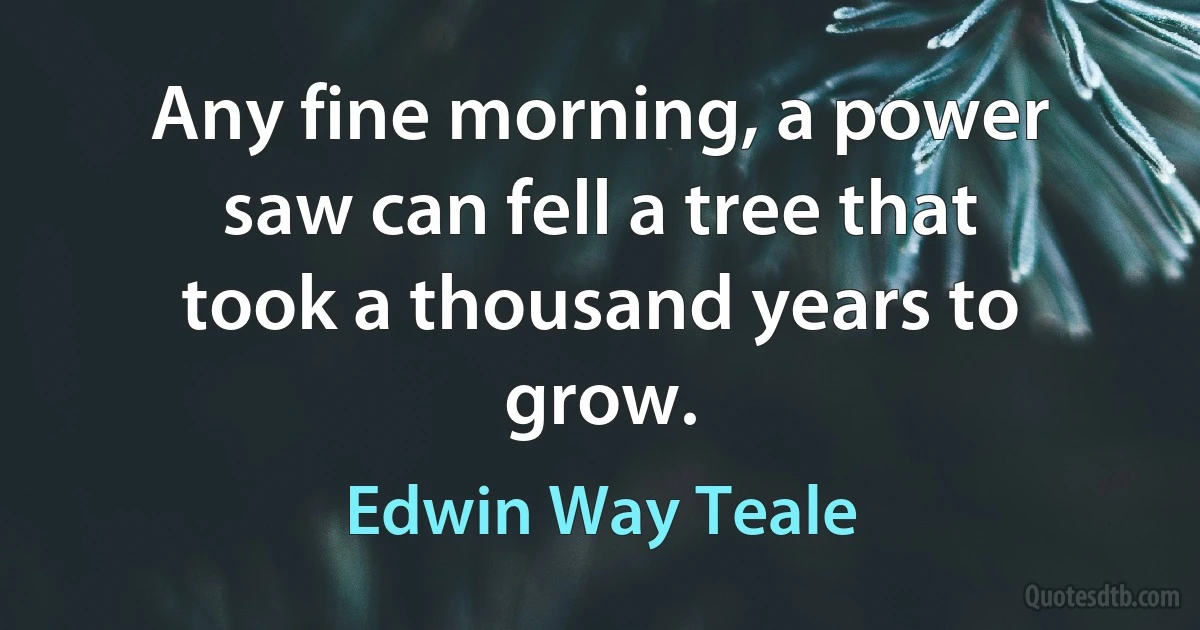 Any fine morning, a power saw can fell a tree that took a thousand years to grow. (Edwin Way Teale)