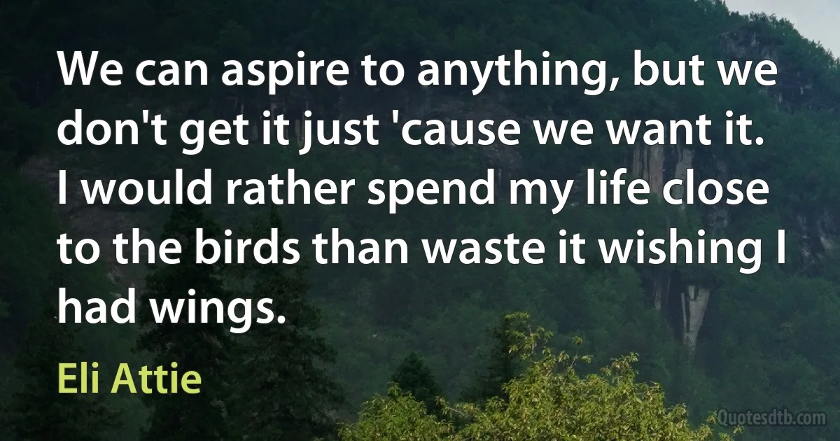 We can aspire to anything, but we don't get it just 'cause we want it. I would rather spend my life close to the birds than waste it wishing I had wings. (Eli Attie)