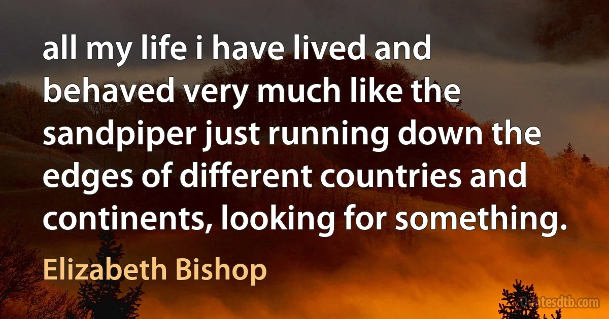 all my life i have lived and behaved very much like the sandpiper just running down the edges of different countries and continents, looking for something. (Elizabeth Bishop)