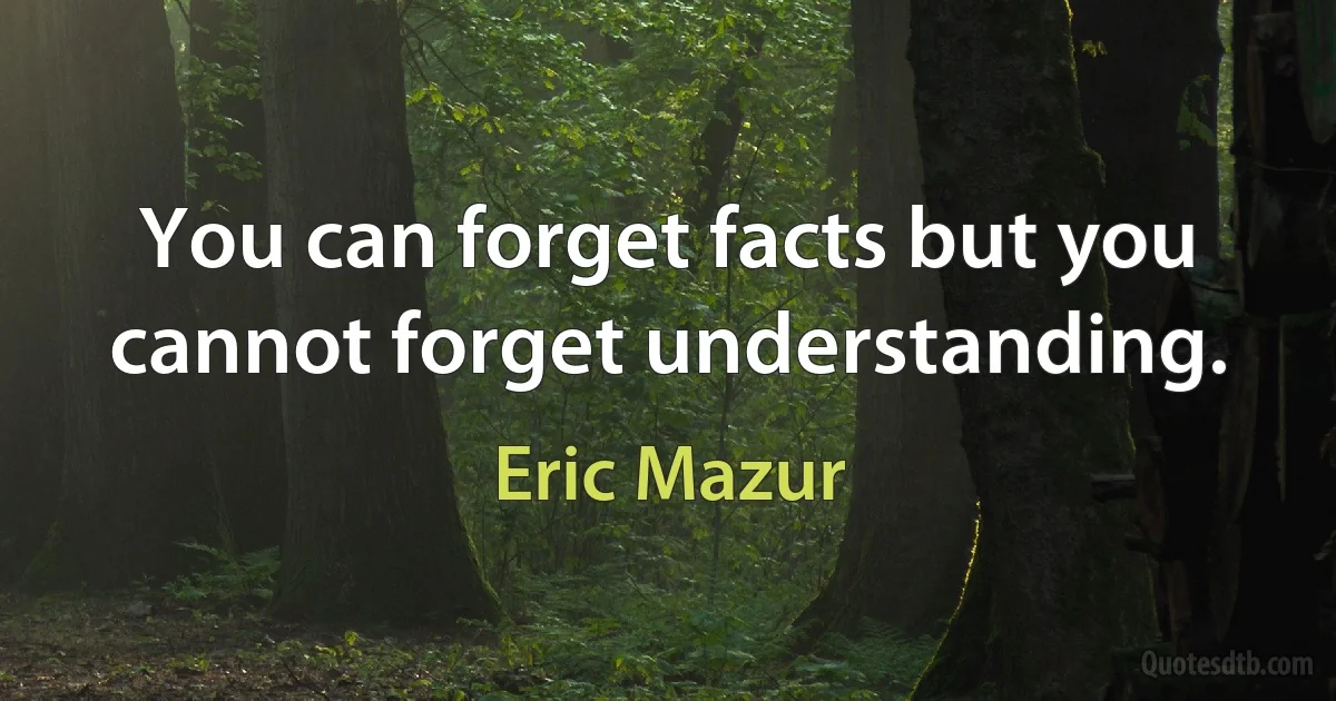 You can forget facts but you cannot forget understanding. (Eric Mazur)