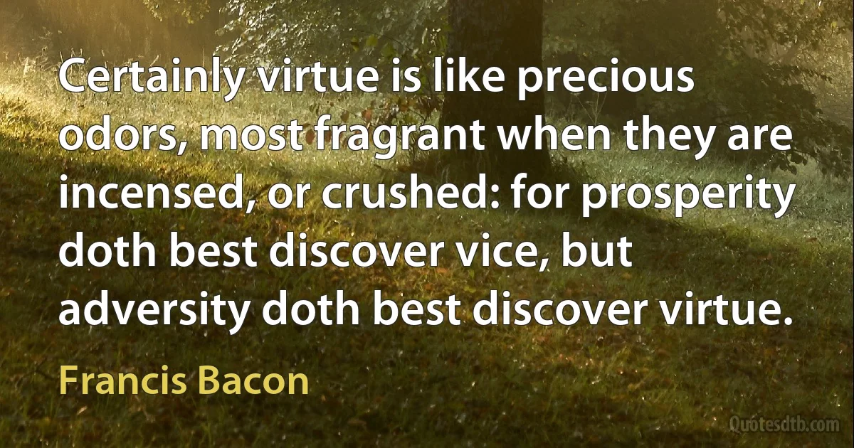 Certainly virtue is like precious odors, most fragrant when they are incensed, or crushed: for prosperity doth best discover vice, but adversity doth best discover virtue. (Francis Bacon)