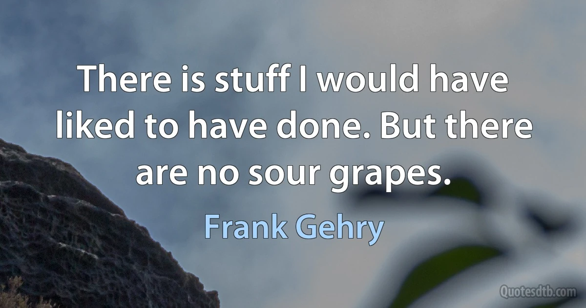 There is stuff I would have liked to have done. But there are no sour grapes. (Frank Gehry)