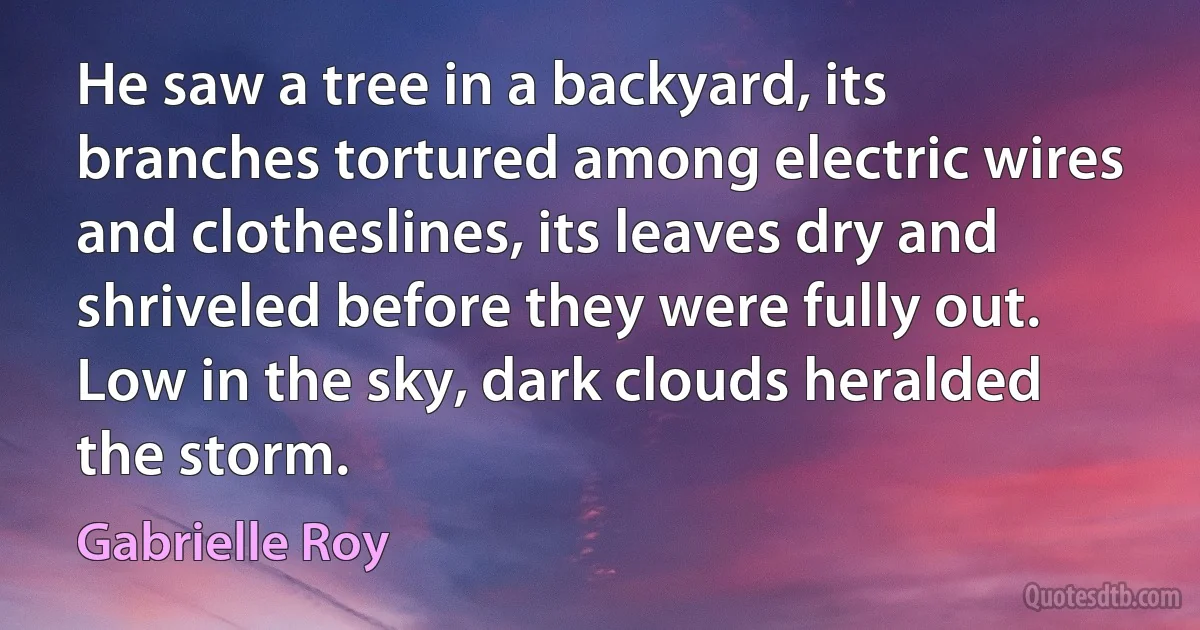 He saw a tree in a backyard, its branches tortured among electric wires and clotheslines, its leaves dry and shriveled before they were fully out. Low in the sky, dark clouds heralded the storm. (Gabrielle Roy)