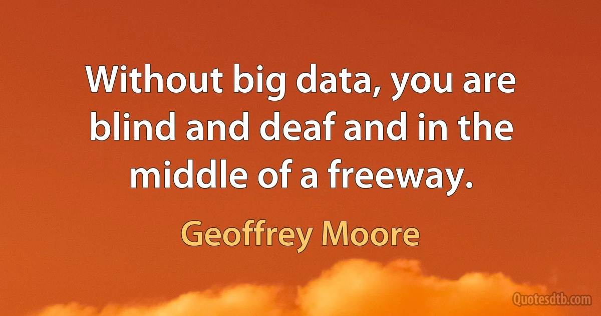 Without big data, you are blind and deaf and in the middle of a freeway. (Geoffrey Moore)