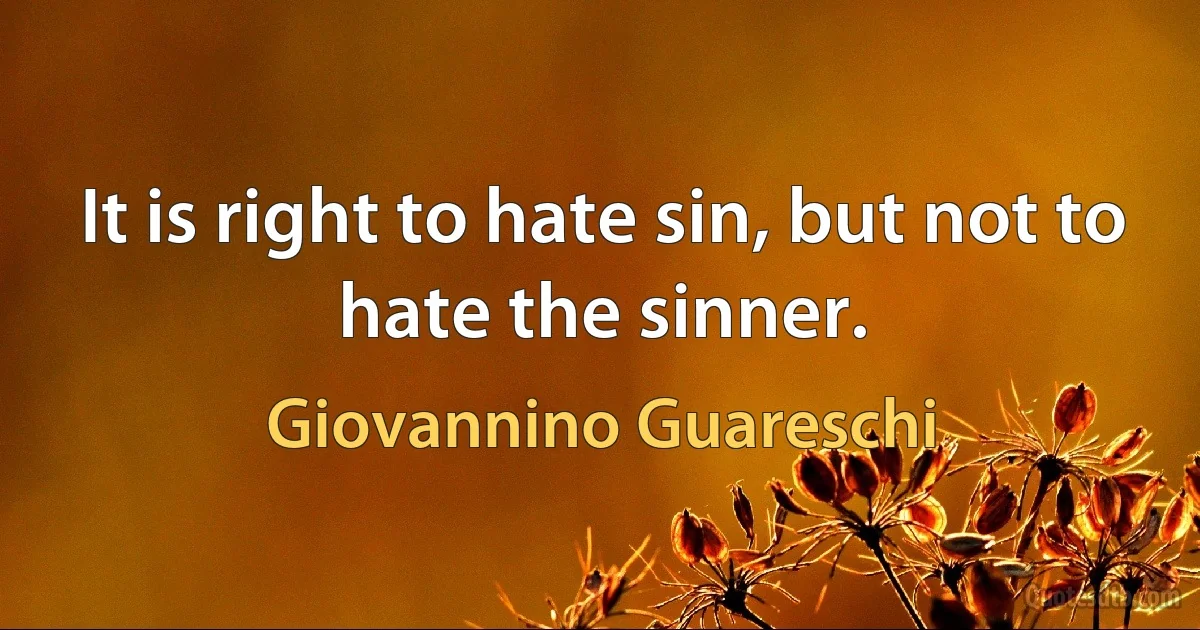 It is right to hate sin, but not to hate the sinner. (Giovannino Guareschi)