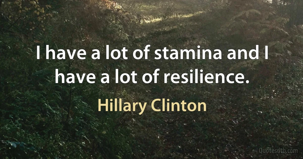 I have a lot of stamina and I have a lot of resilience. (Hillary Clinton)