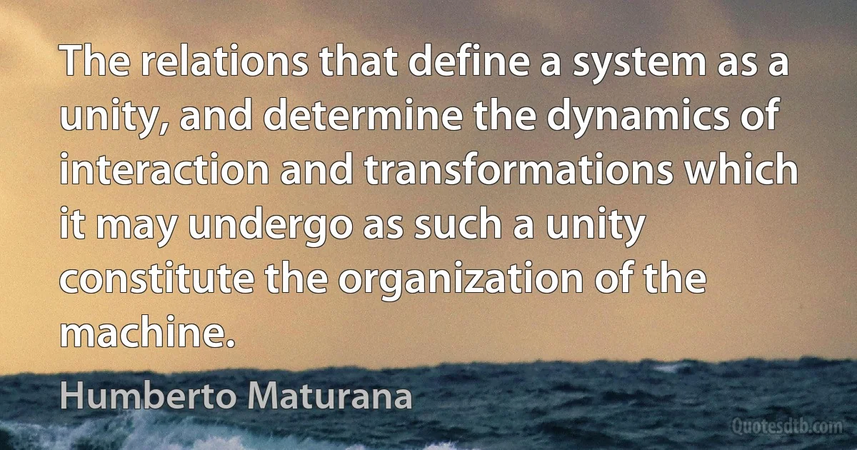 The relations that define a system as a unity, and determine the dynamics of interaction and transformations which it may undergo as such a unity constitute the organization of the machine. (Humberto Maturana)