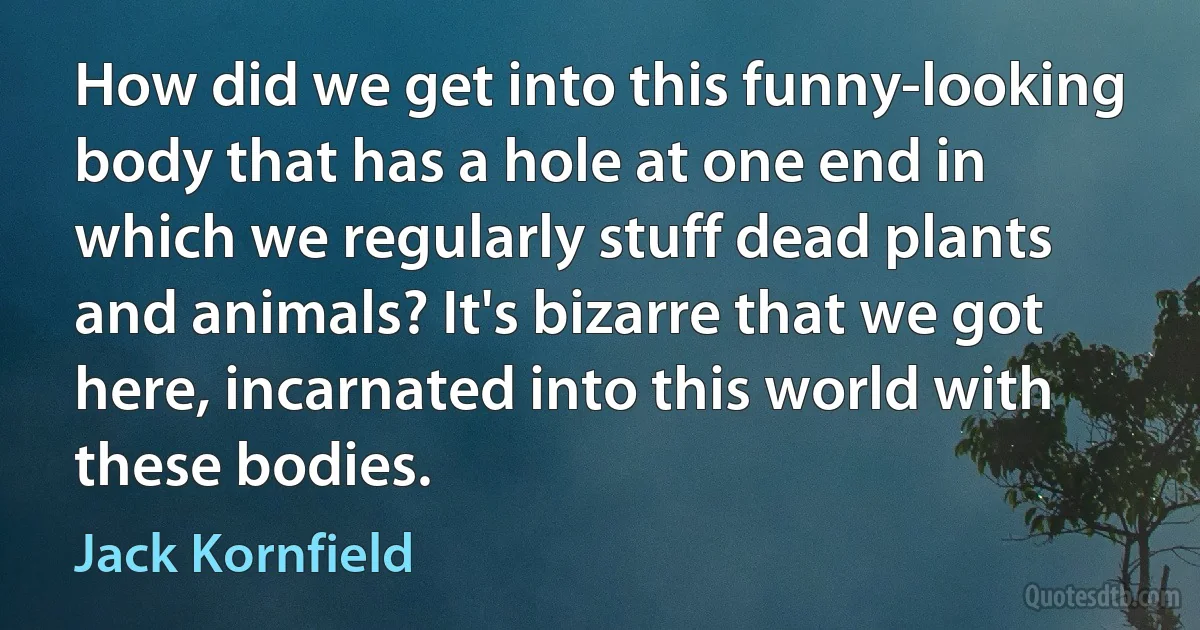 How did we get into this funny-looking body that has a hole at one end in which we regularly stuff dead plants and animals? It's bizarre that we got here, incarnated into this world with these bodies. (Jack Kornfield)