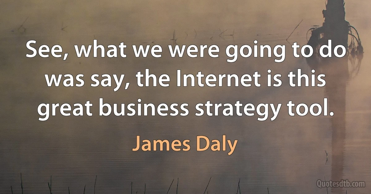 See, what we were going to do was say, the Internet is this great business strategy tool. (James Daly)