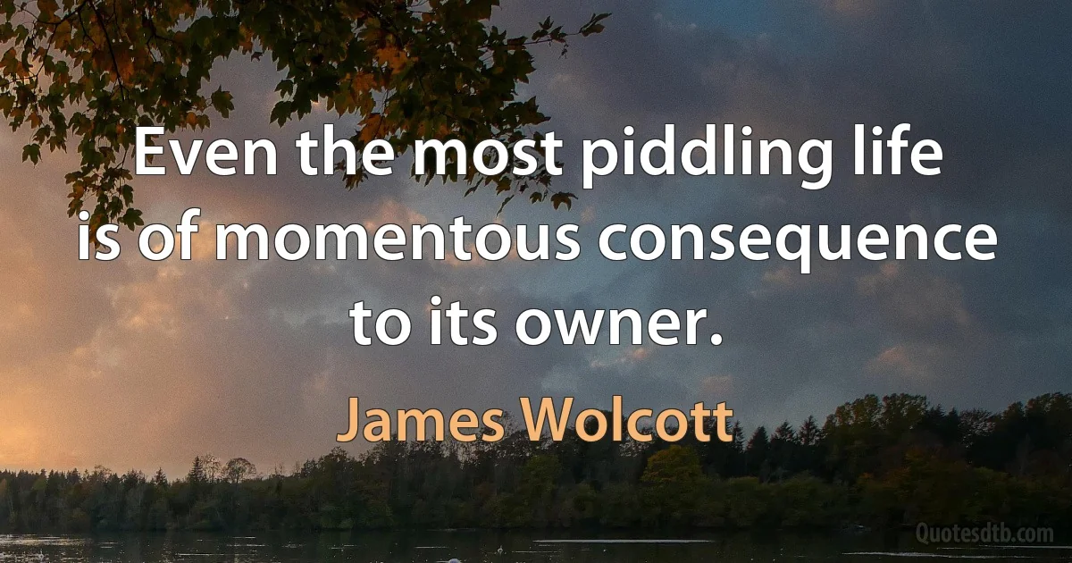 Even the most piddling life is of momentous consequence to its owner. (James Wolcott)