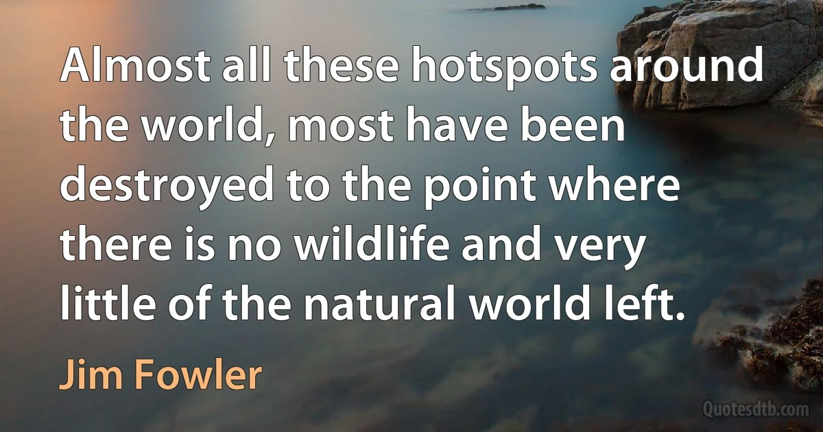 Almost all these hotspots around the world, most have been destroyed to the point where there is no wildlife and very little of the natural world left. (Jim Fowler)