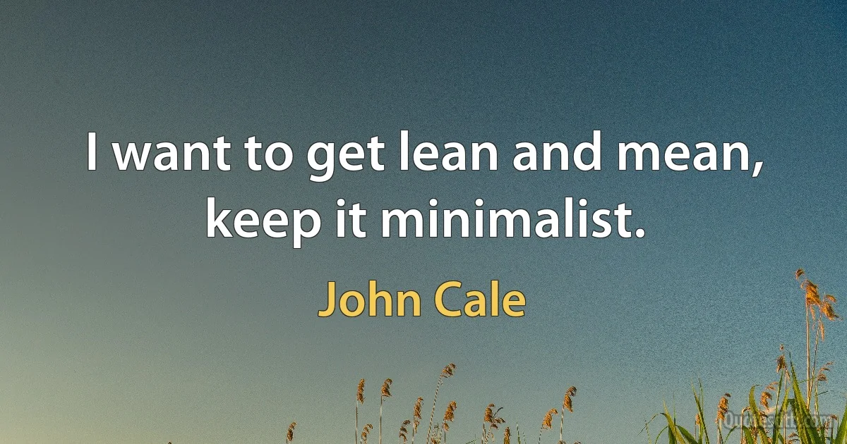 I want to get lean and mean, keep it minimalist. (John Cale)