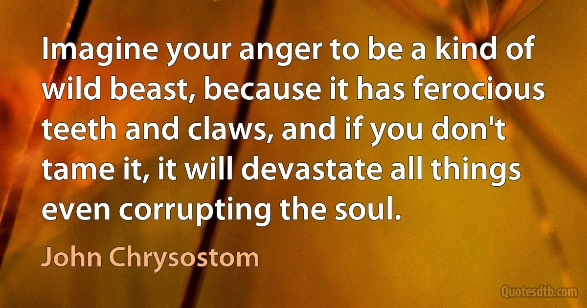 Imagine your anger to be a kind of wild beast, because it has ferocious teeth and claws, and if you don't tame it, it will devastate all things even corrupting the soul. (John Chrysostom)