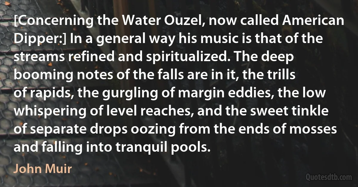 [Concerning the Water Ouzel, now called American Dipper:] In a general way his music is that of the streams refined and spiritualized. The deep booming notes of the falls are in it, the trills of rapids, the gurgling of margin eddies, the low whispering of level reaches, and the sweet tinkle of separate drops oozing from the ends of mosses and falling into tranquil pools. (John Muir)