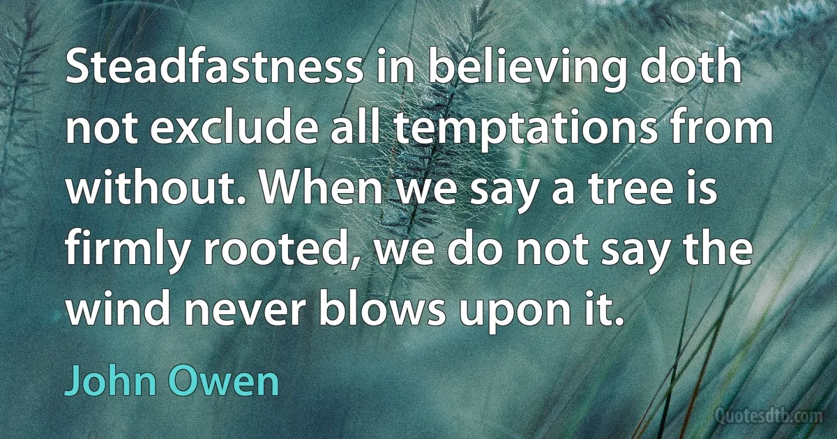 Steadfastness in believing doth not exclude all temptations from without. When we say a tree is firmly rooted, we do not say the wind never blows upon it. (John Owen)