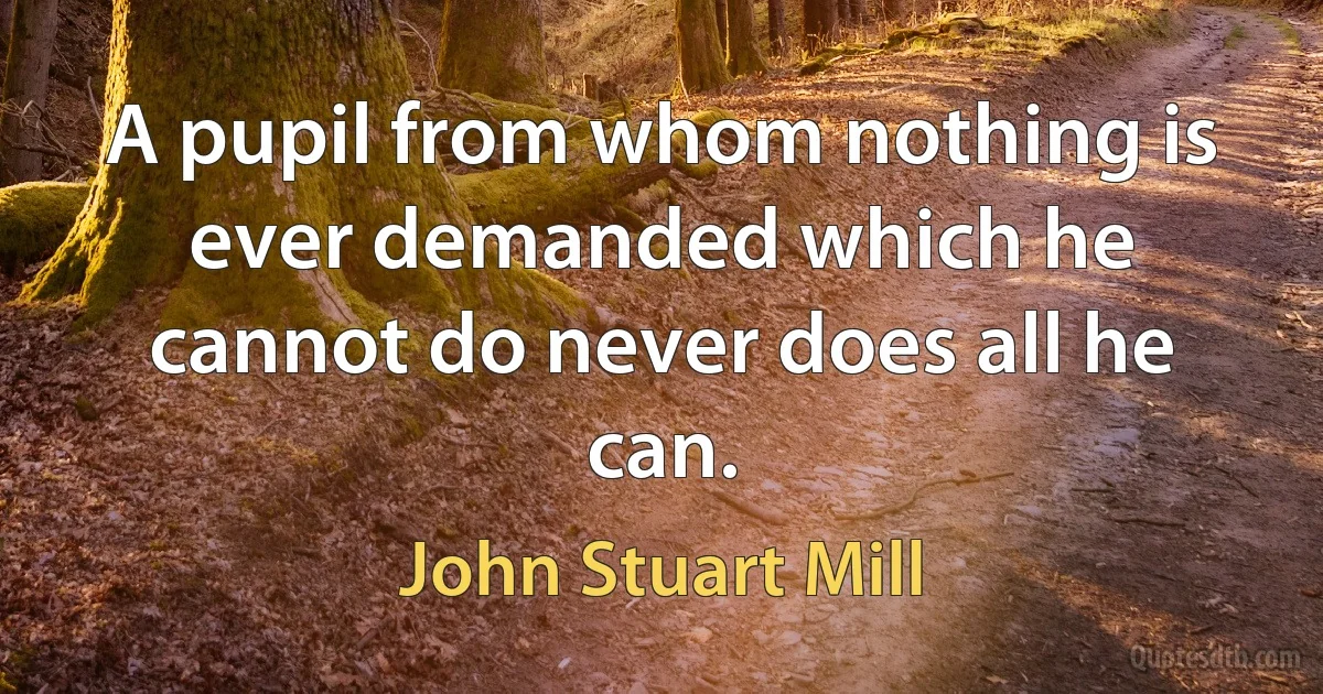 A pupil from whom nothing is ever demanded which he cannot do never does all he can. (John Stuart Mill)