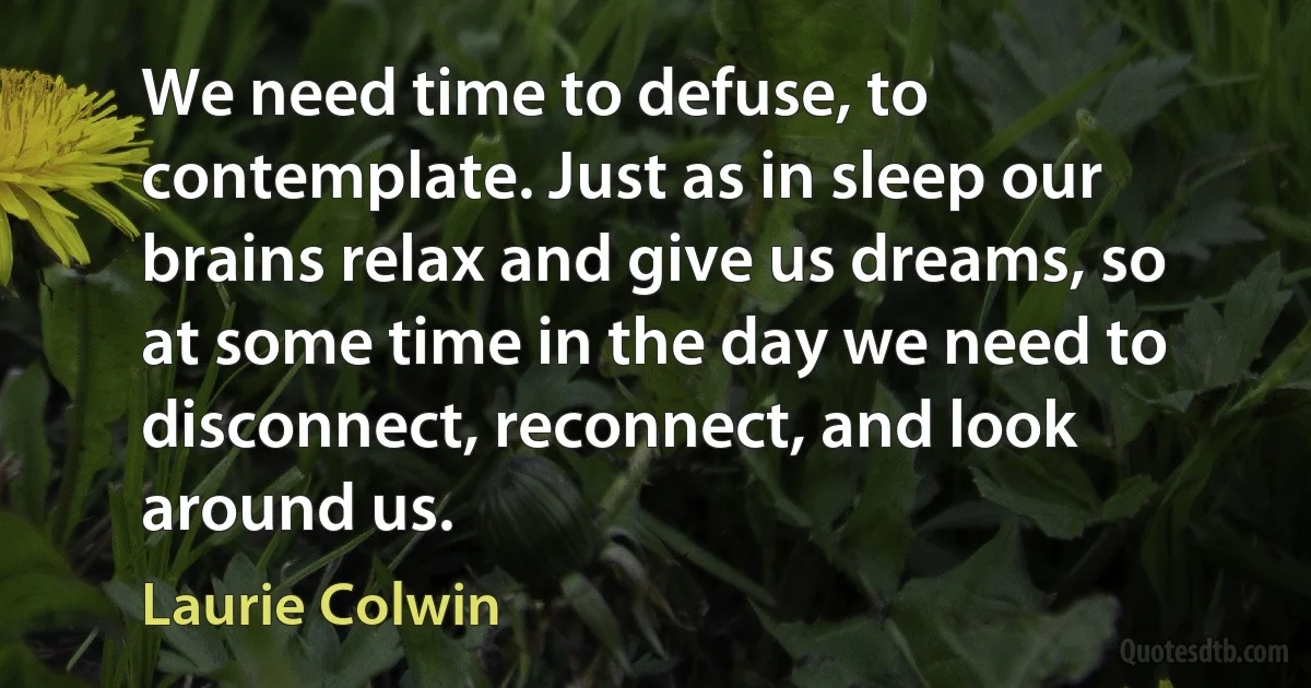 We need time to defuse, to contemplate. Just as in sleep our brains relax and give us dreams, so at some time in the day we need to disconnect, reconnect, and look around us. (Laurie Colwin)