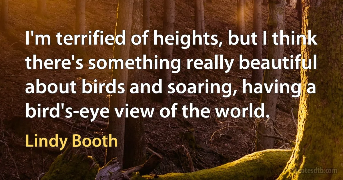 I'm terrified of heights, but I think there's something really beautiful about birds and soaring, having a bird's-eye view of the world. (Lindy Booth)