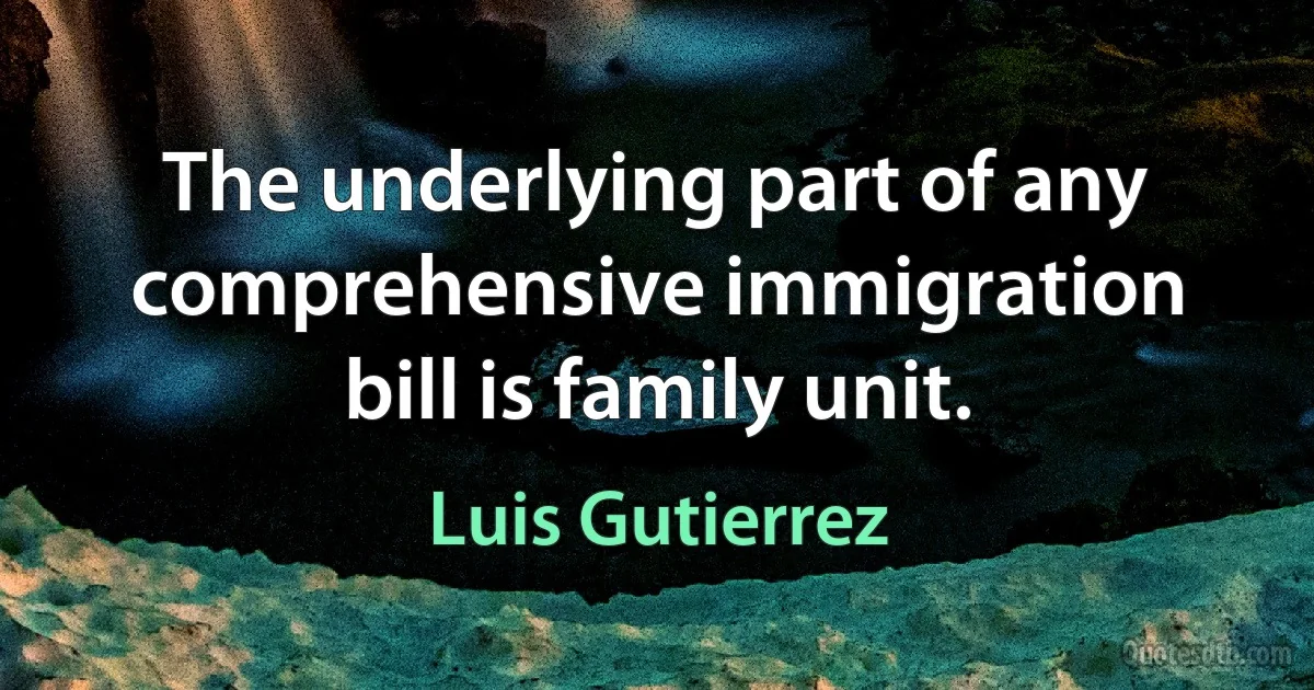 The underlying part of any comprehensive immigration bill is family unit. (Luis Gutierrez)