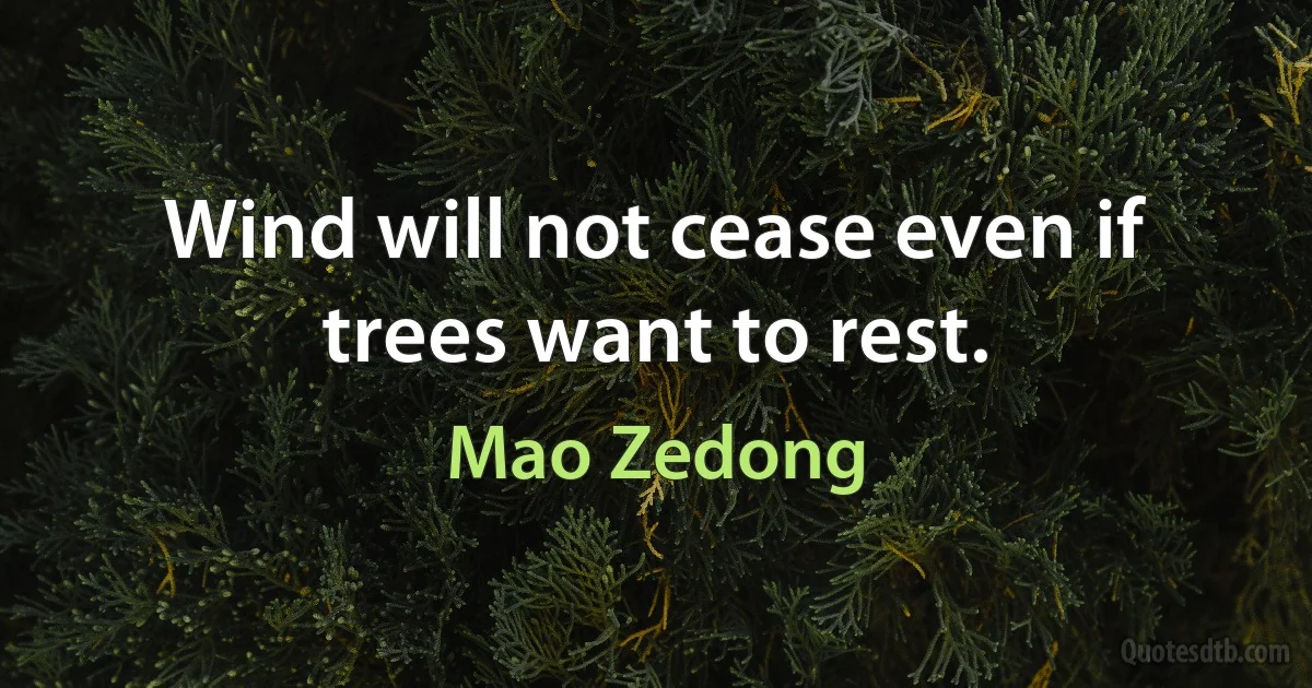 Wind will not cease even if trees want to rest. (Mao Zedong)