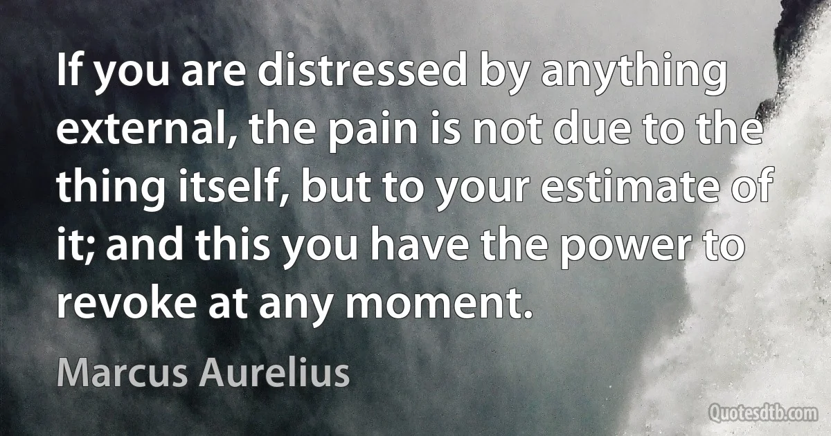 If you are distressed by anything external, the pain is not due to the thing itself, but to your estimate of it; and this you have the power to revoke at any moment. (Marcus Aurelius)