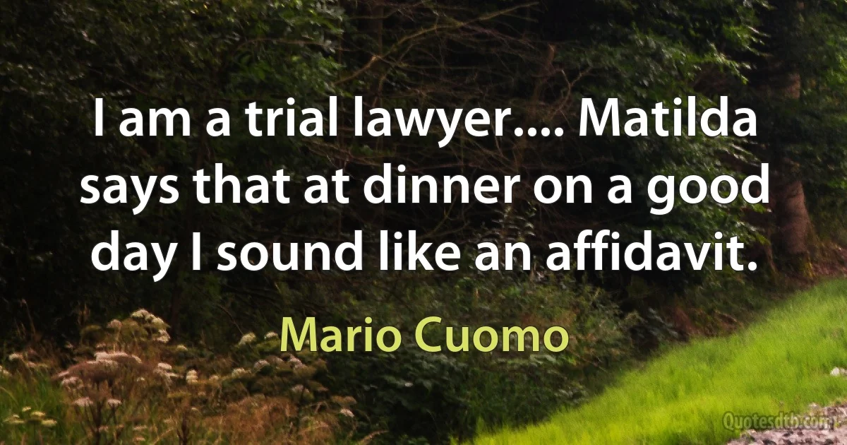 I am a trial lawyer.... Matilda says that at dinner on a good day I sound like an affidavit. (Mario Cuomo)