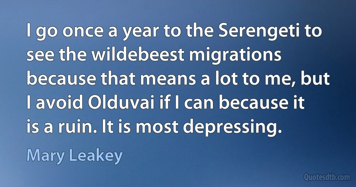 I go once a year to the Serengeti to see the wildebeest migrations because that means a lot to me, but I avoid Olduvai if I can because it is a ruin. It is most depressing. (Mary Leakey)