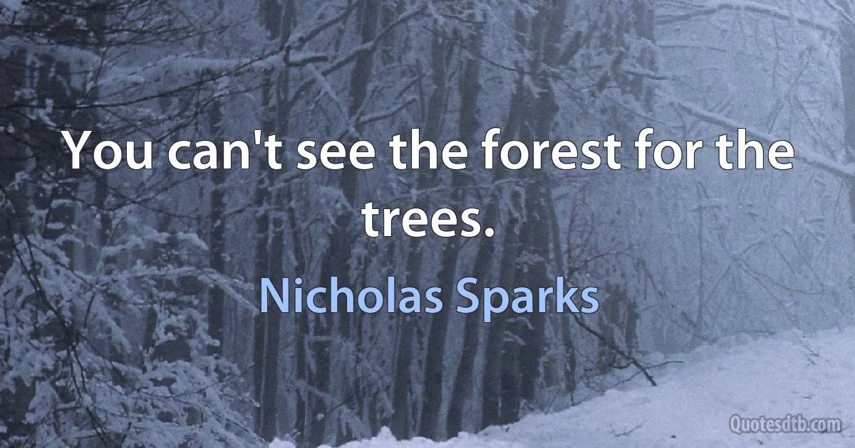 You can't see the forest for the trees. (Nicholas Sparks)