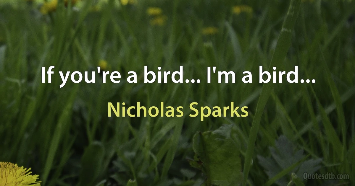 If you're a bird... I'm a bird... (Nicholas Sparks)